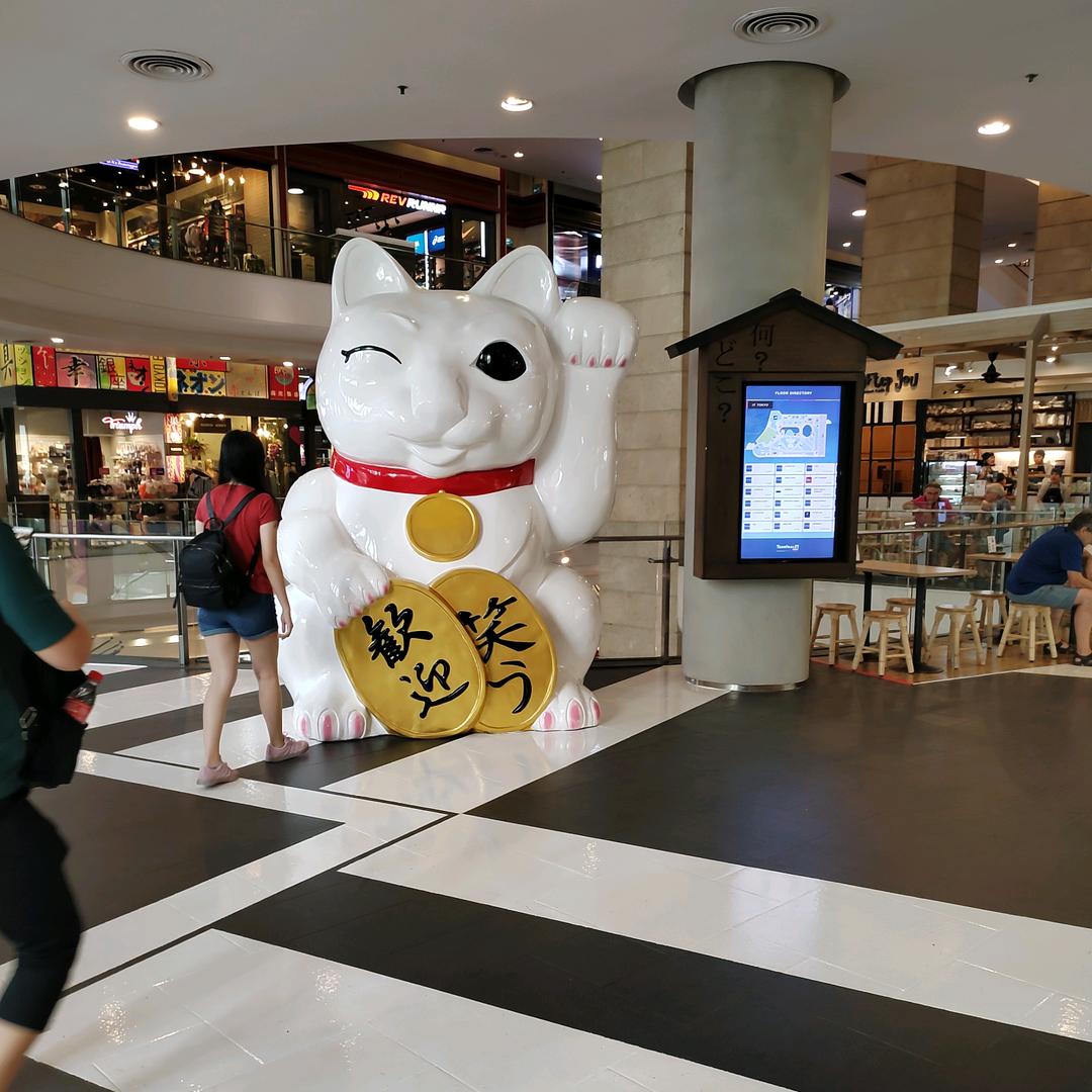 不确定小姐姐颜值大全