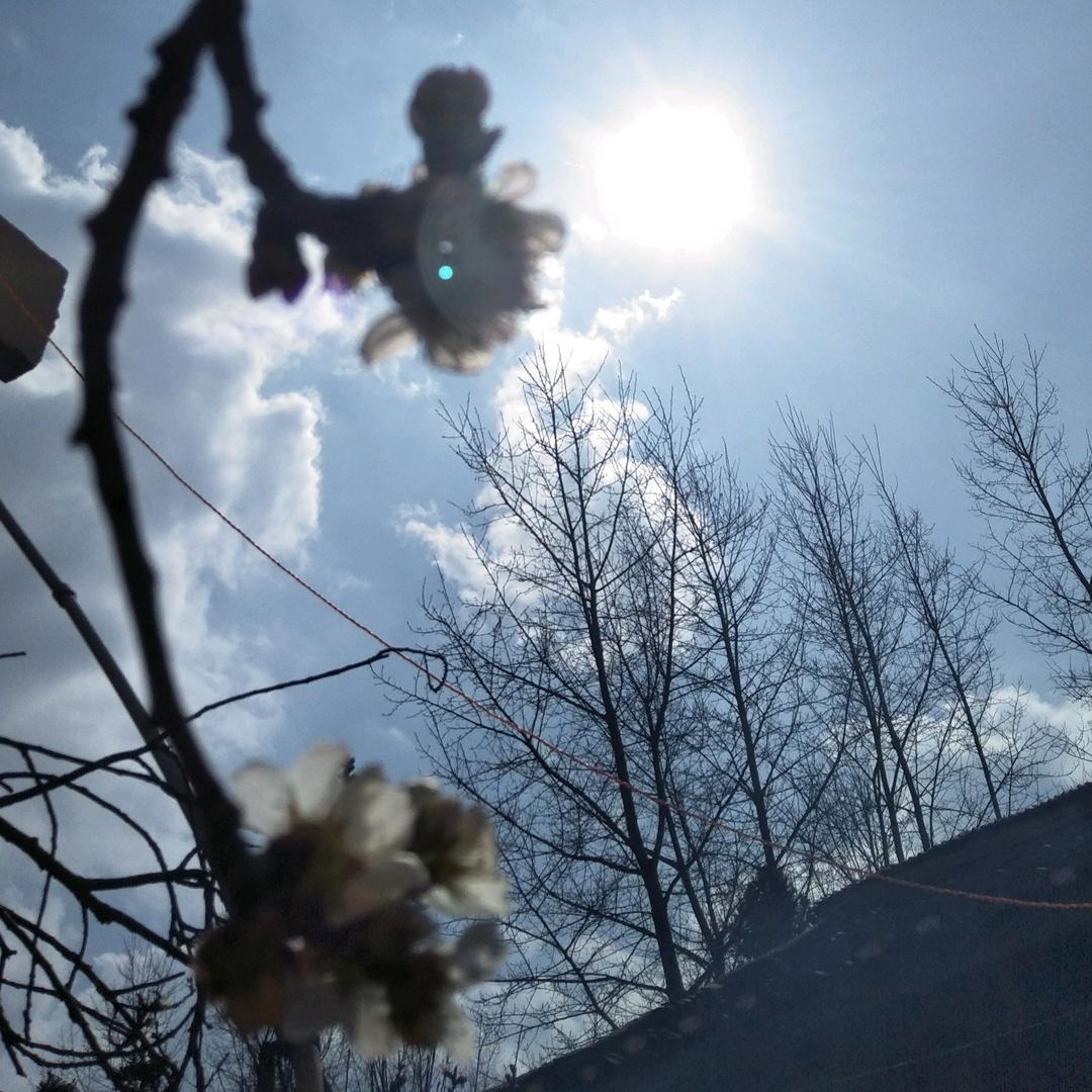 霞光璀璨☀榮耀辉煌✨⭐