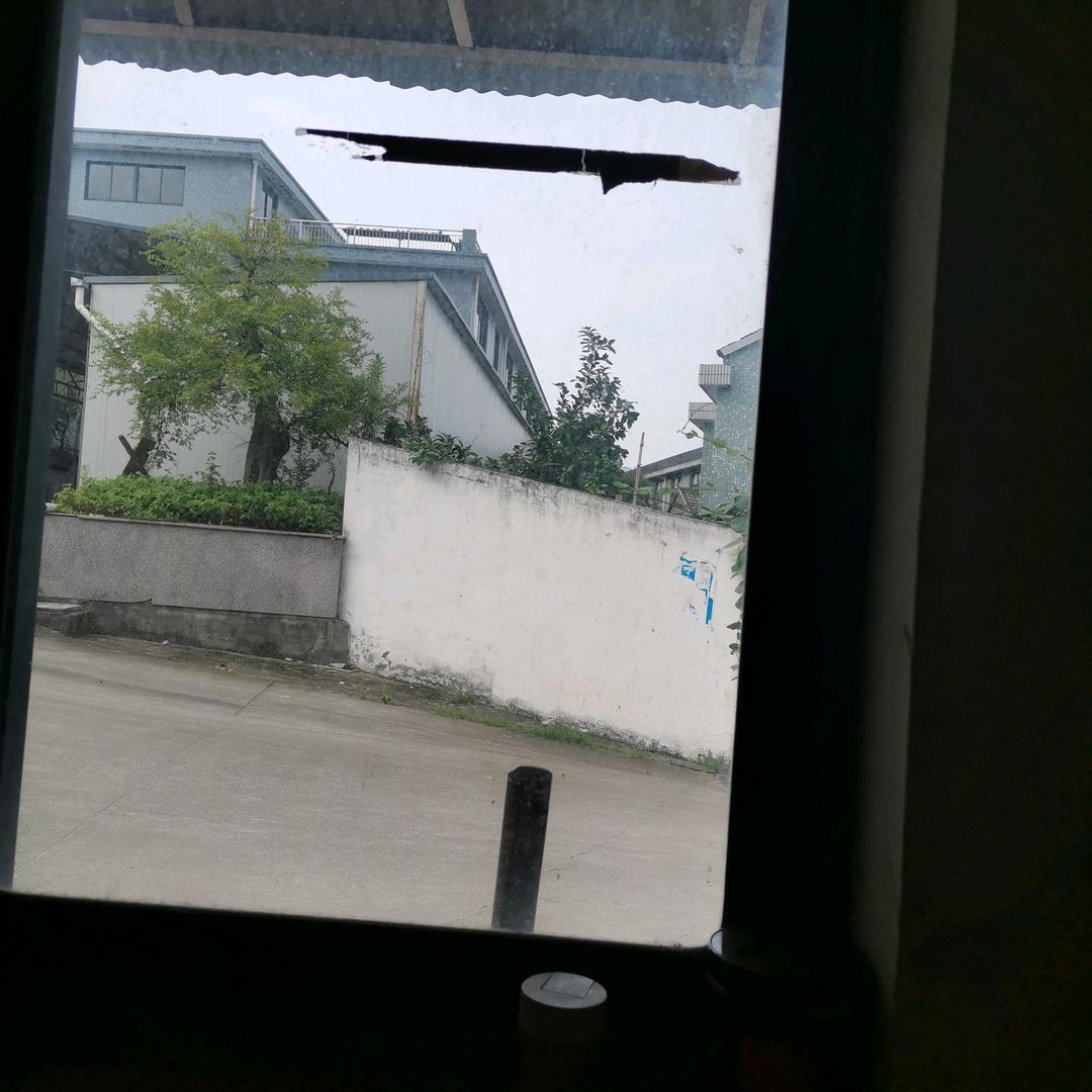 老黄开心