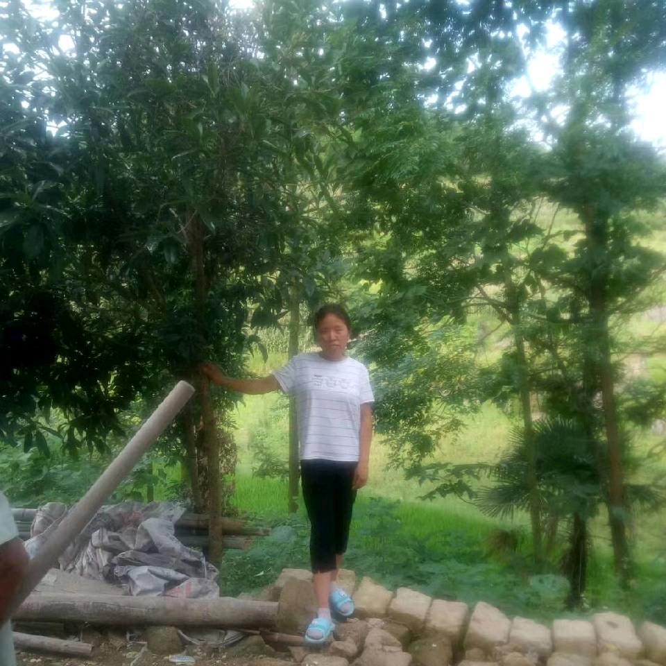 开心过好每一天。