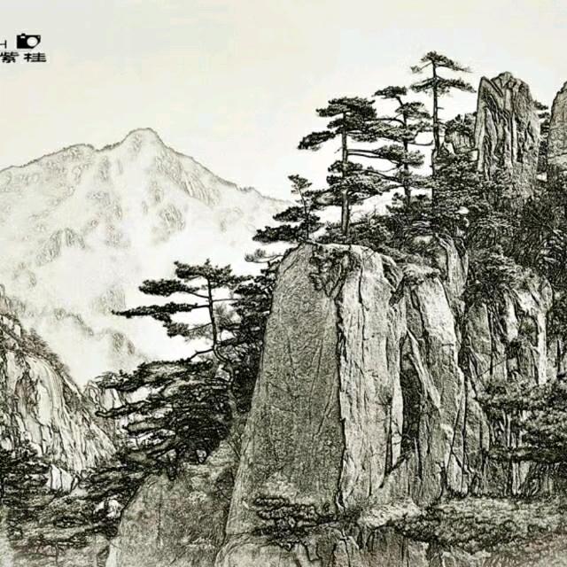 梦想还是要有的万一实现了呢？