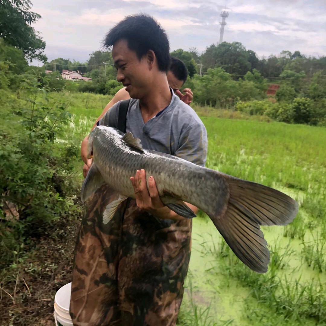 小余哥（户外）