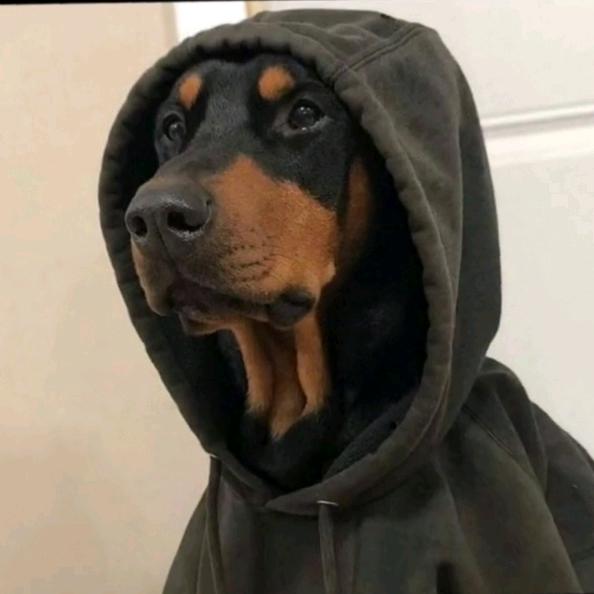 再挥霍也只是观众ゝ