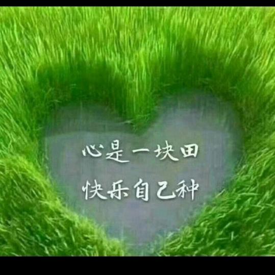 🍀王哪跑🍀