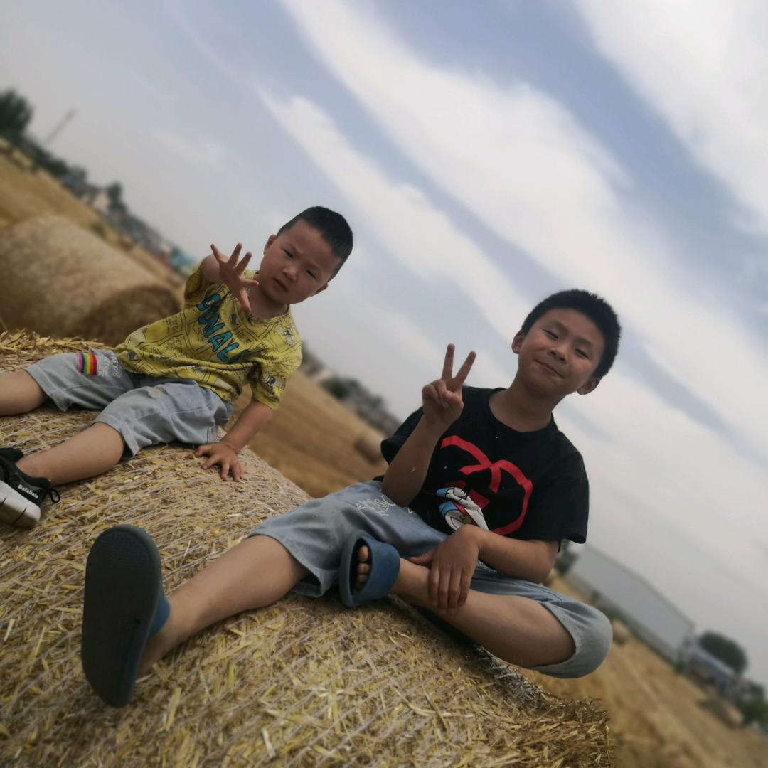 迪小迪