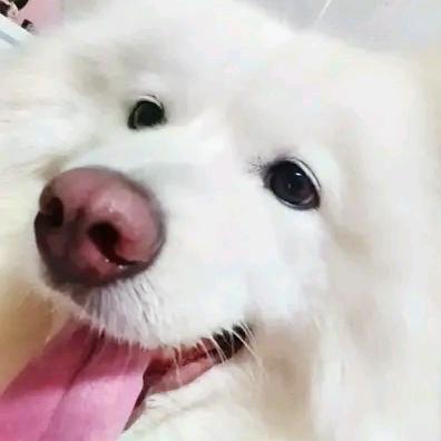 用户6038305359723