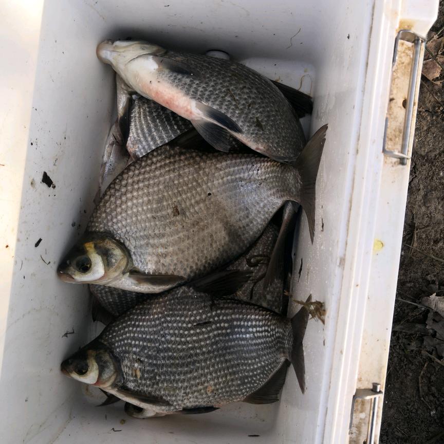 探钓发烧友，非钓友勿扰。