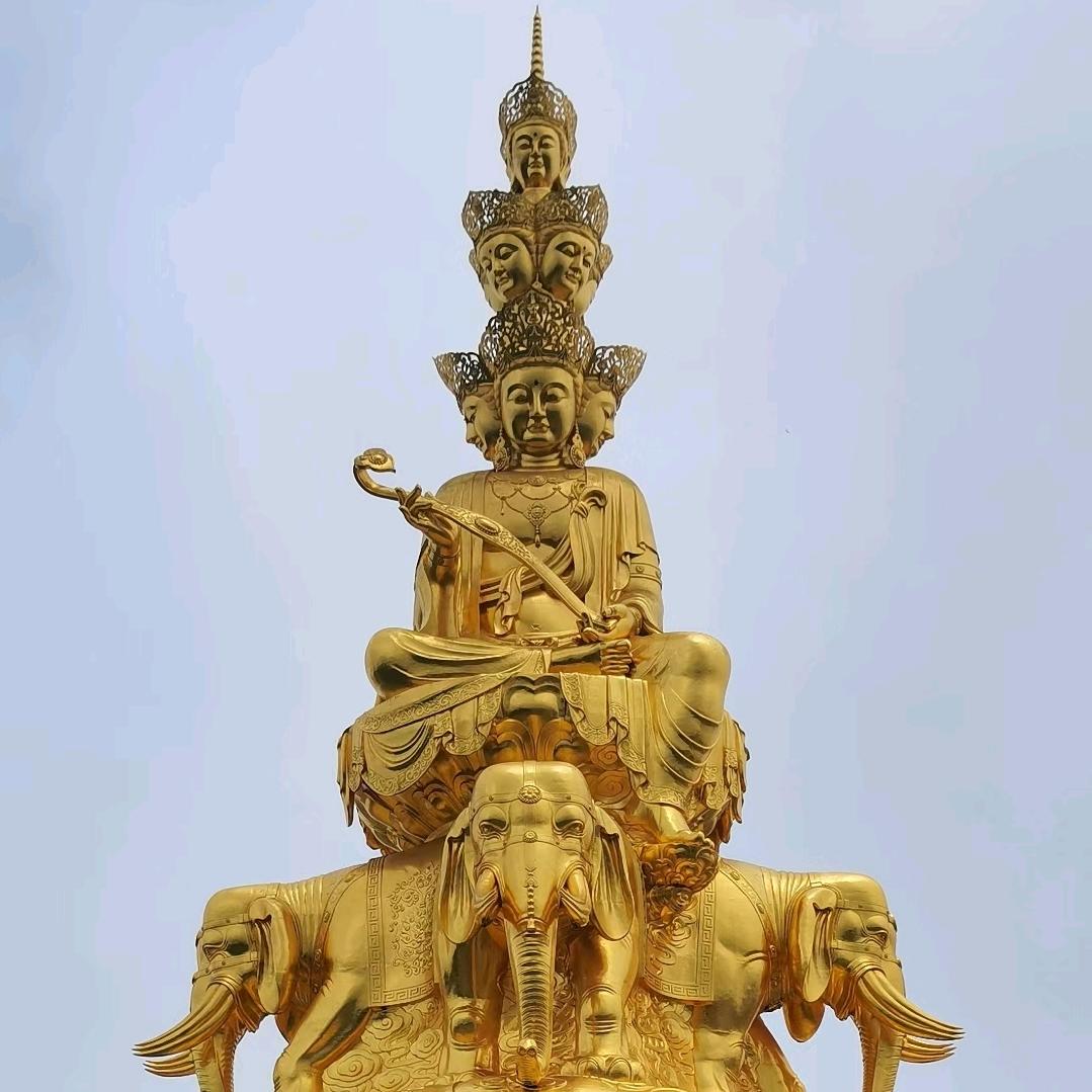 鹏展高飞