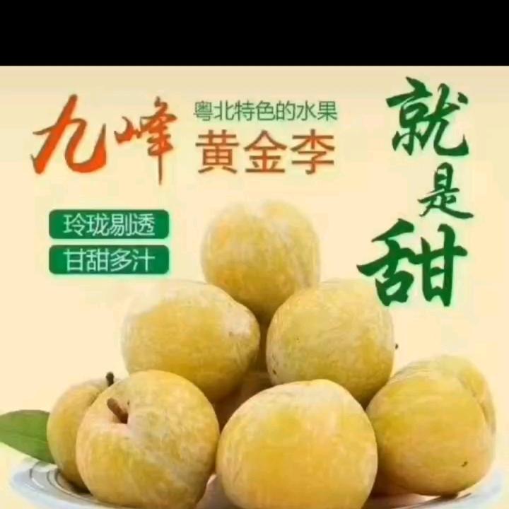 汤汤土特产