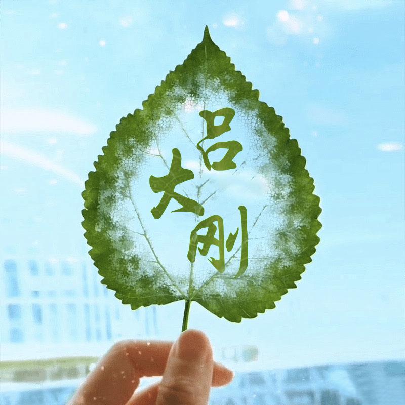 吕大刚