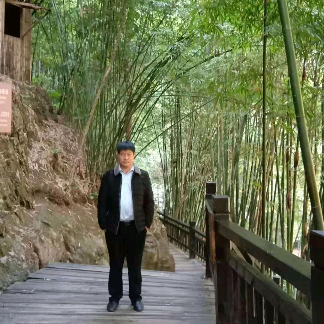 顺其自Ran