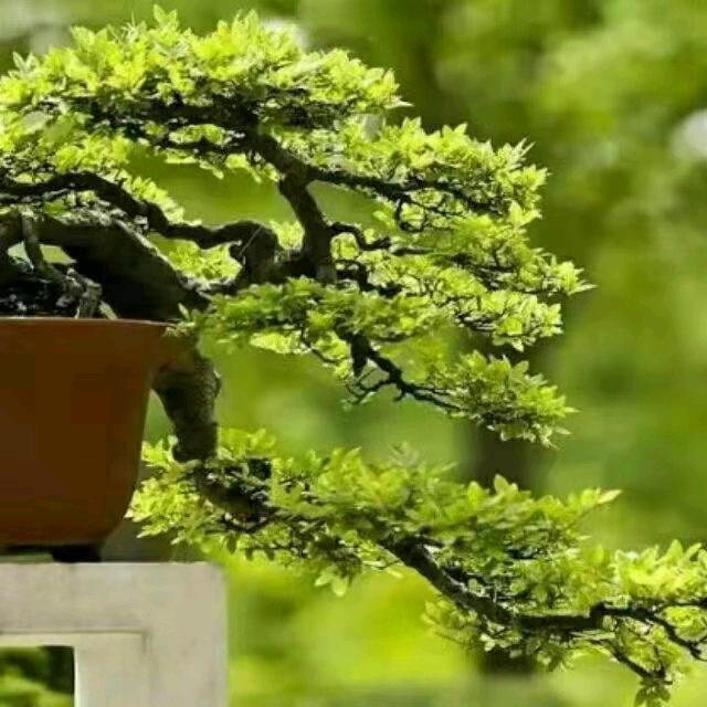 用户1135029729947