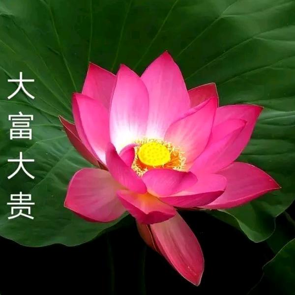 想想