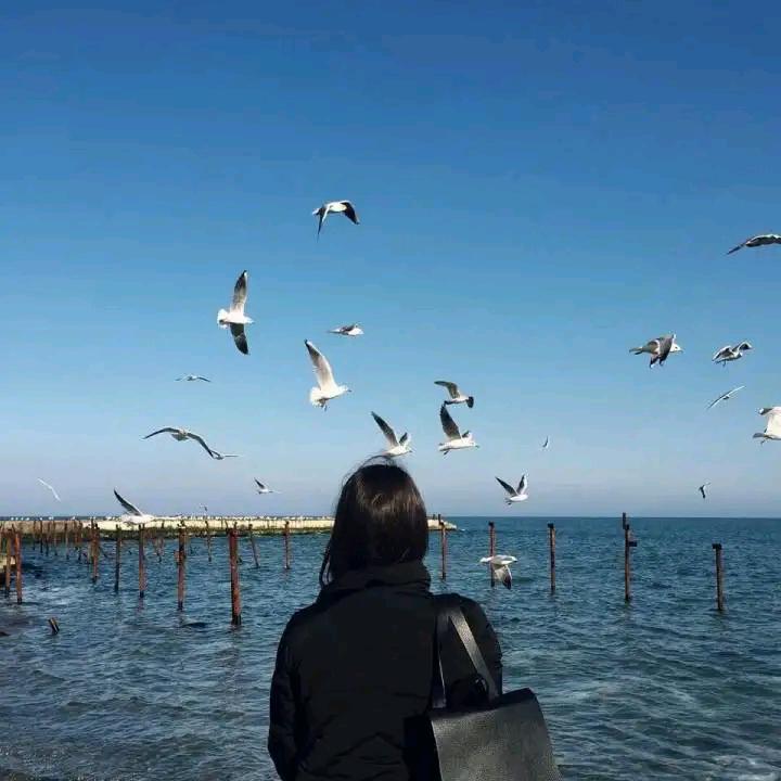 米粒爱旅游