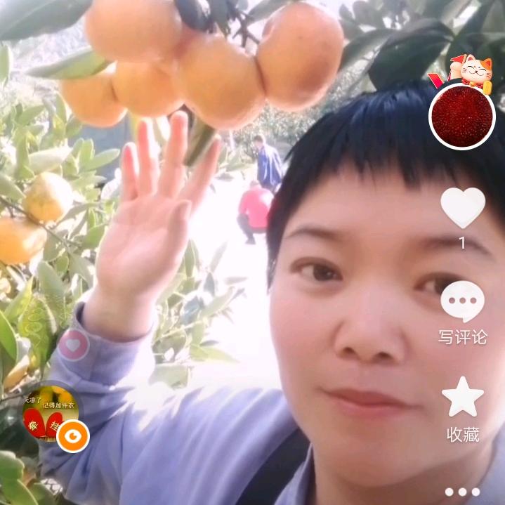 梦想成真。