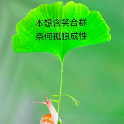清溪