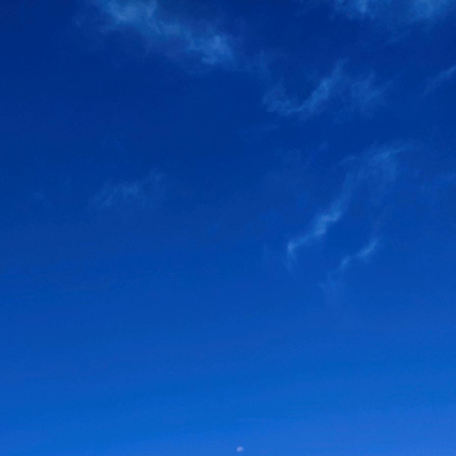 ♂大米饭饭♀