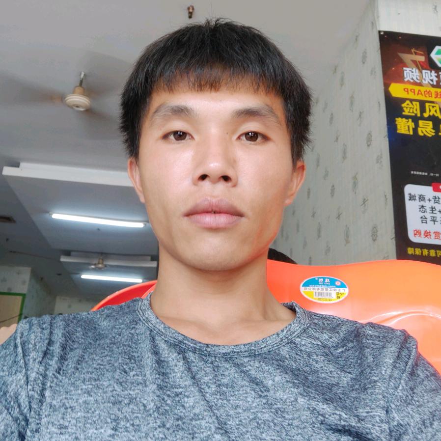 户外找蜂