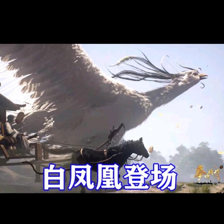 白凤凰【传统文化】