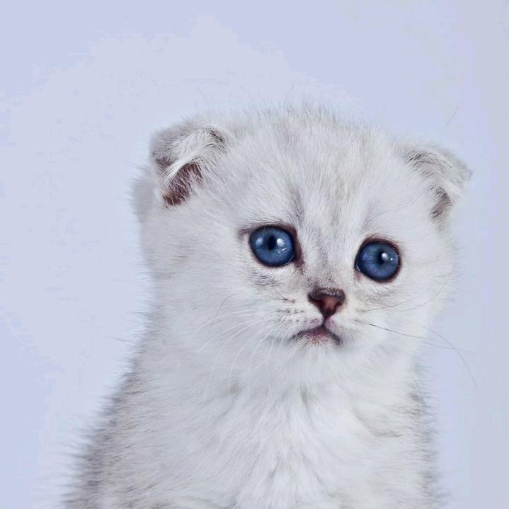 考研课代表