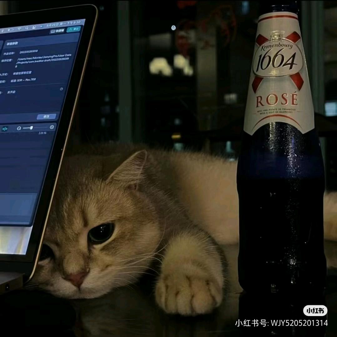 留声唱片机,