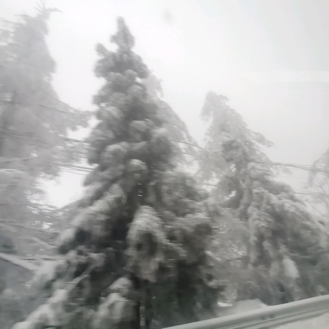 飘逸之旅