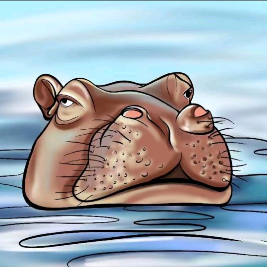 户外探钓老河马