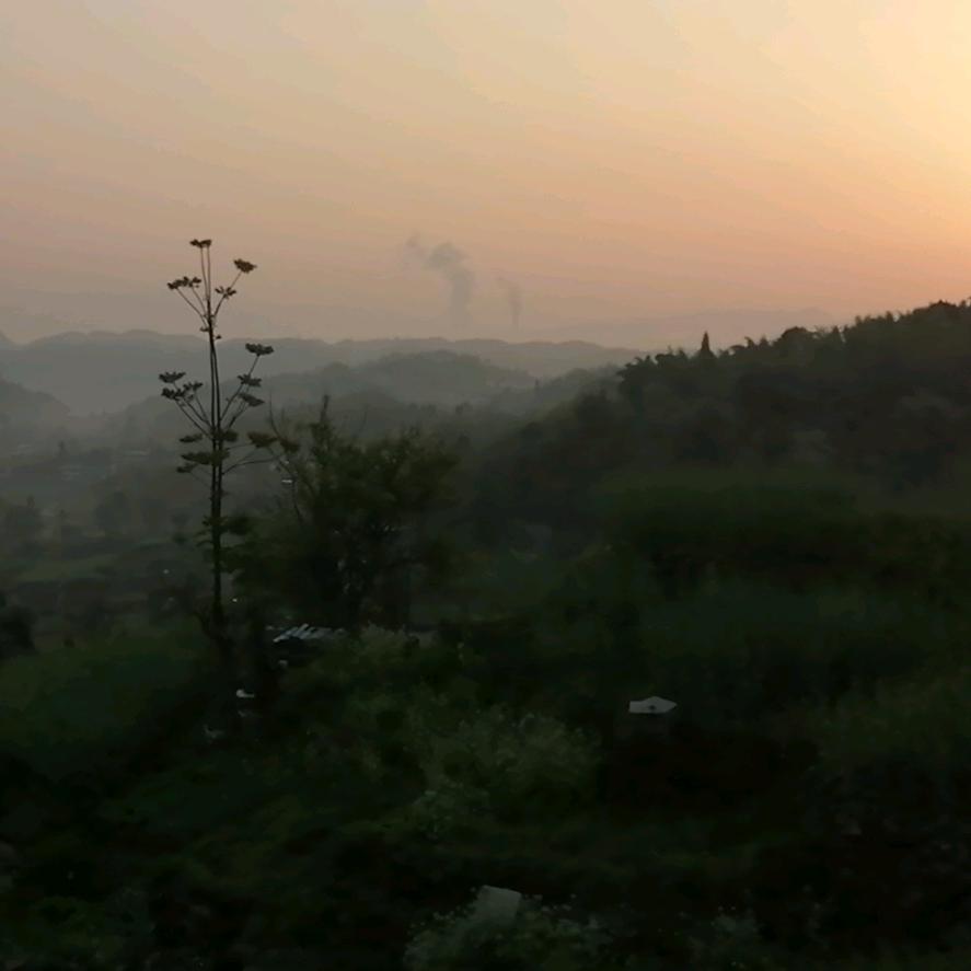 用户9966793368587偶乃山人