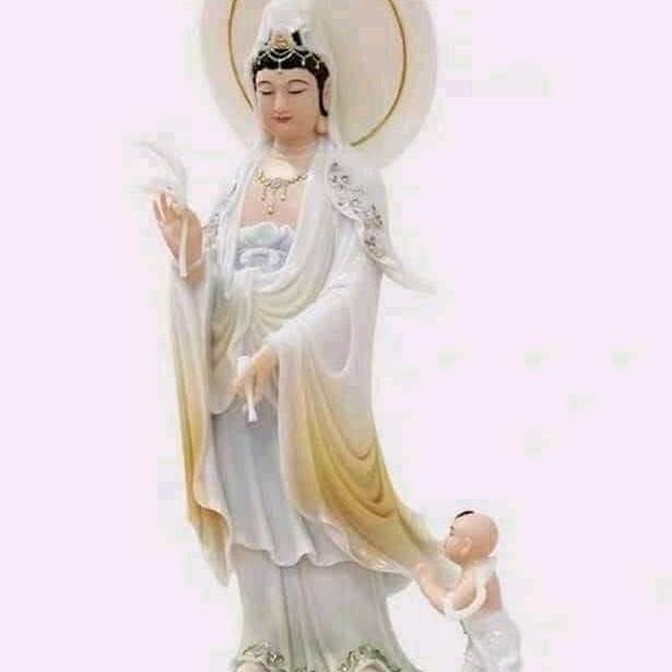 ❣️HOA⭐TIEN❣️