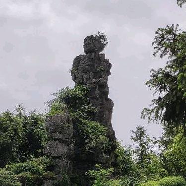 阿风