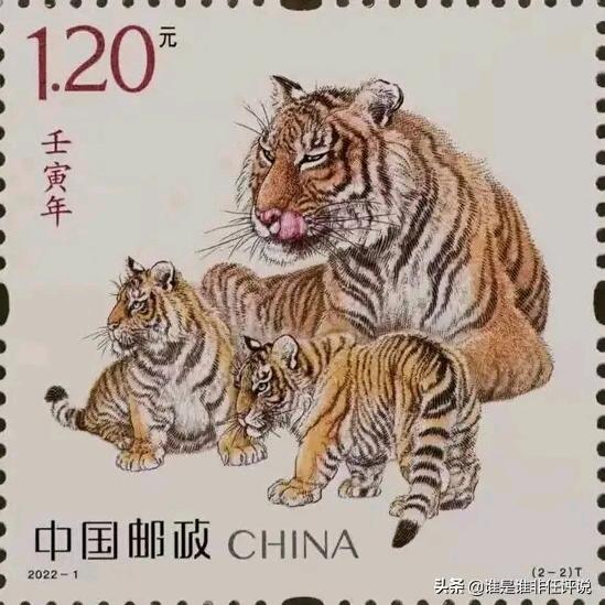 发发现