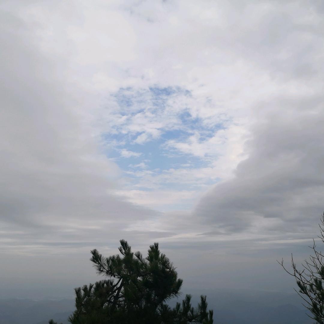 慢半拍的小胖