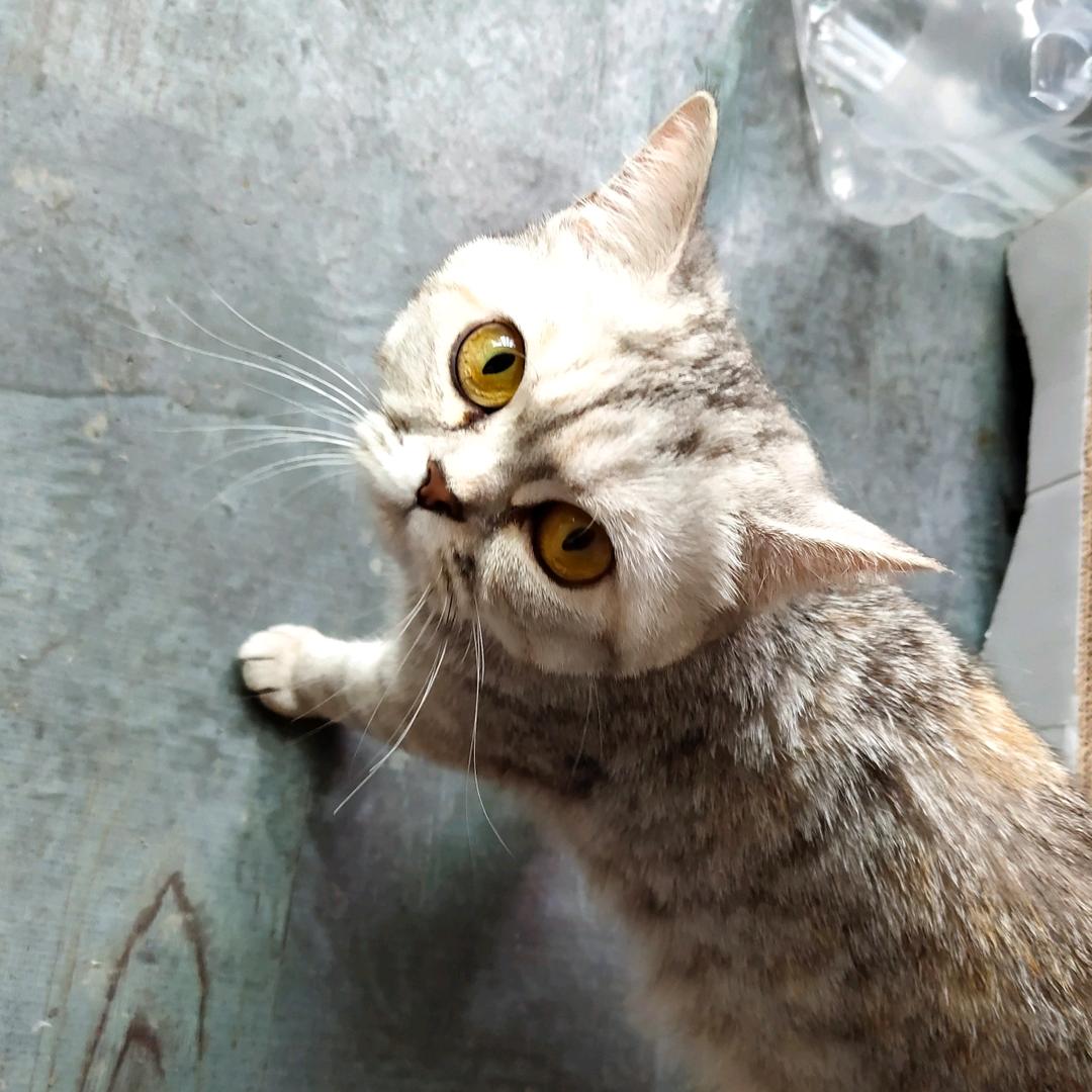 用户8392110868175