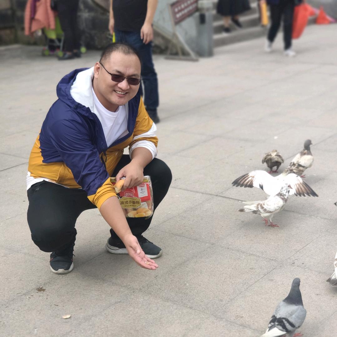 心有猛虎细嗅蔷薇
