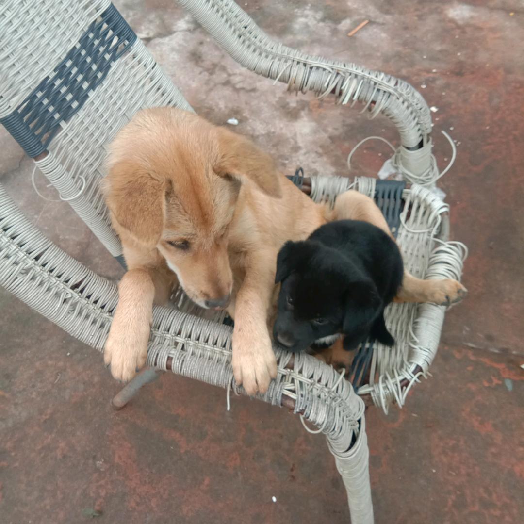 用户1677833000658开心果仁