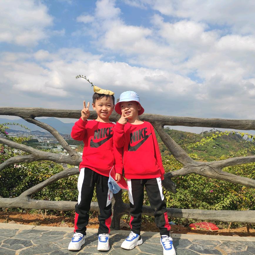 双胞胎小麒大麟