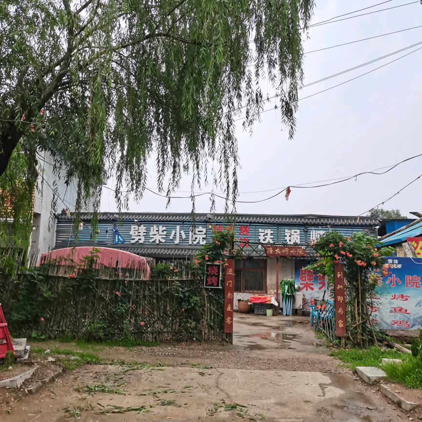 请叫我“大个子”（劈柴小院）