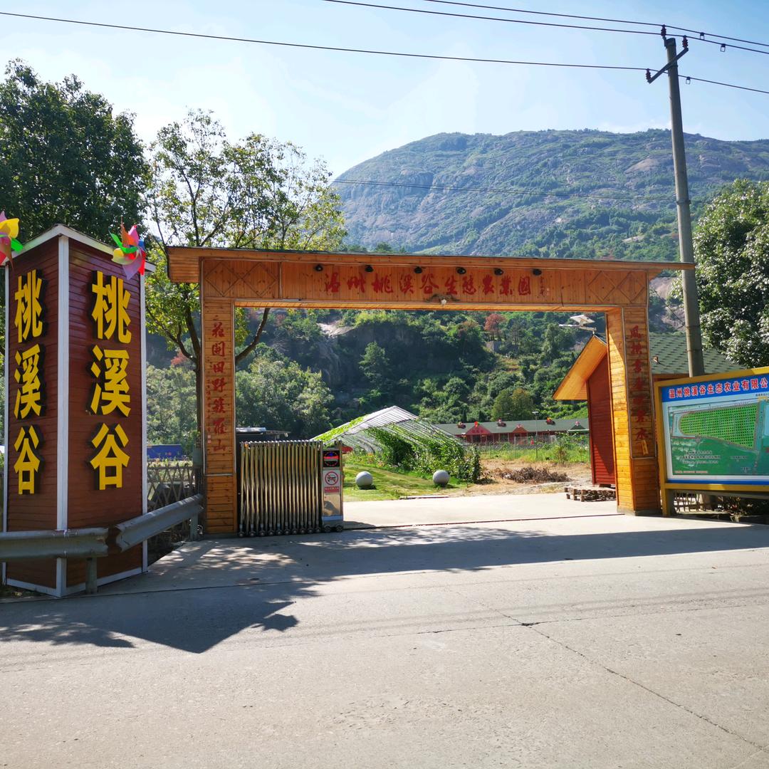温州桃溪谷农庄官方号