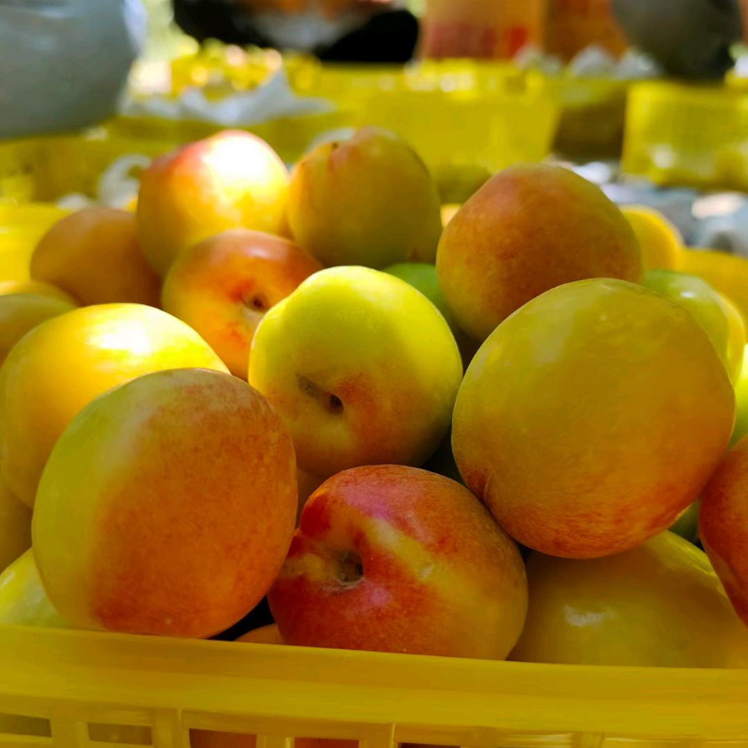 皮山到赛图拉跑腿快递小哥