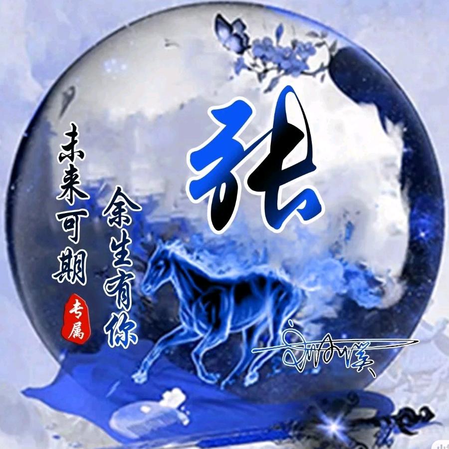 《随隅而安》老大(66年马🐎)