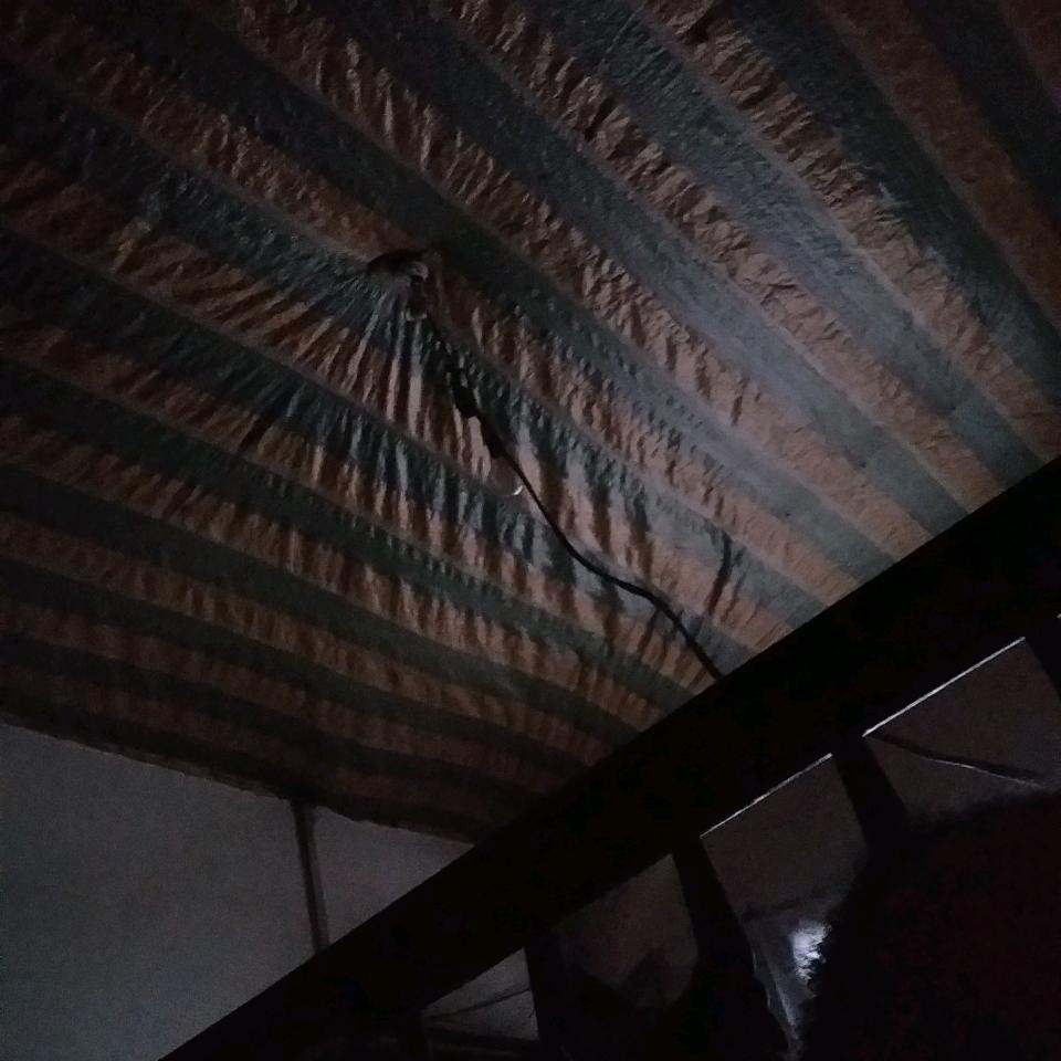 杨兆金