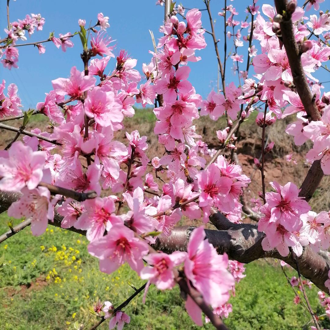 用户3613930936776人生哲理