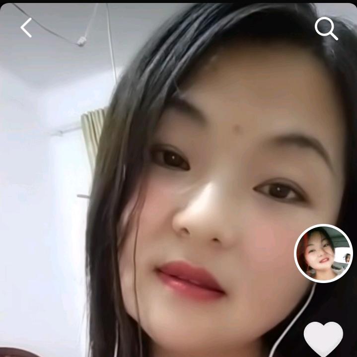 贡鹅