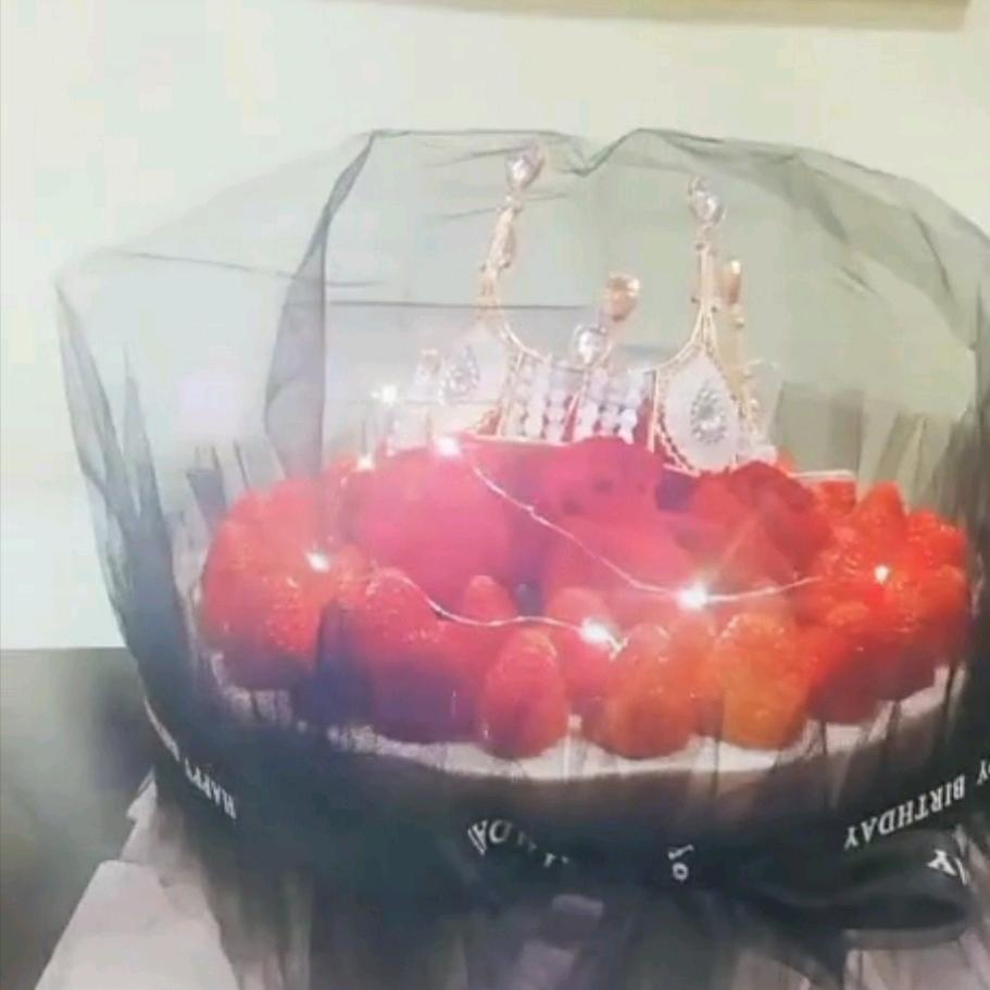 @我是鱼儿