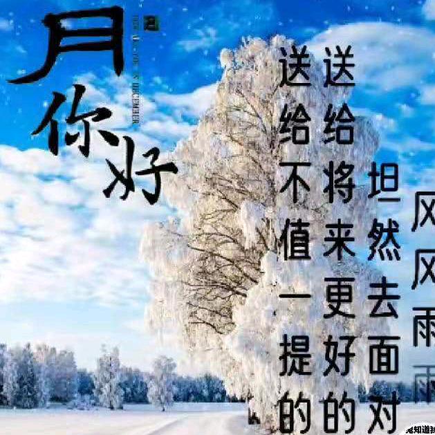 已重置