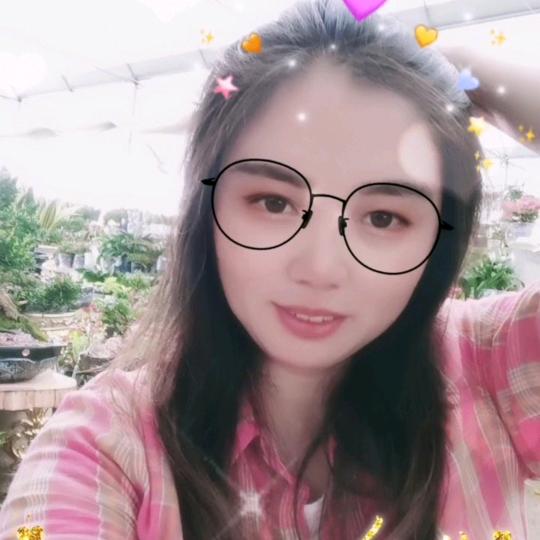 岳阳县柏祥镇盛世花木盆栽