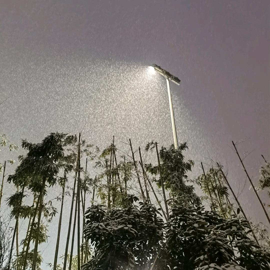 左子墨