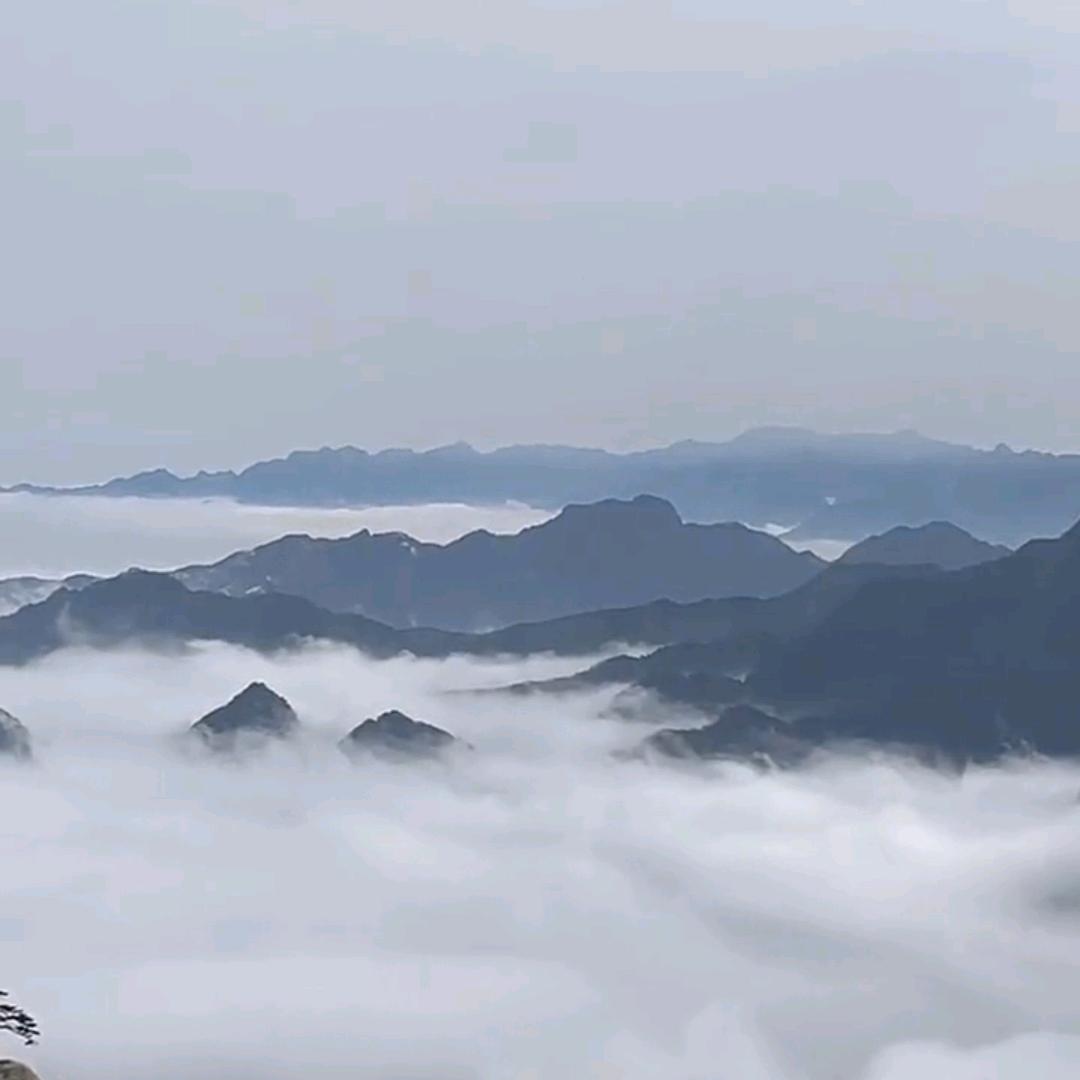 唐韵琴曲