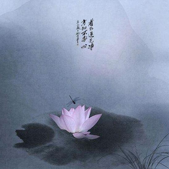 禅心禅艺