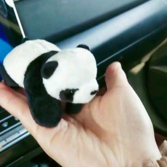 @会飞的鱼